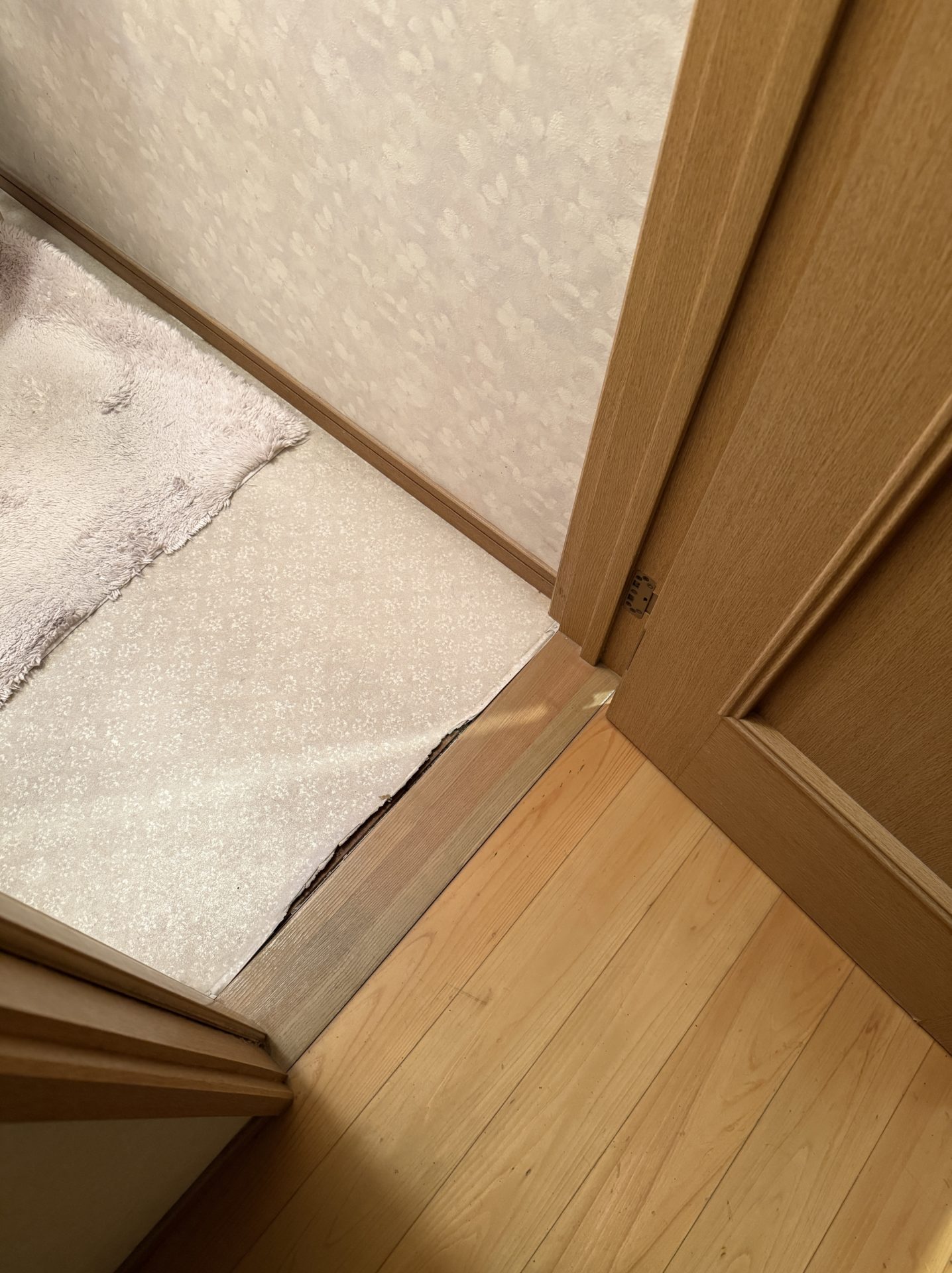 床面シート張替え